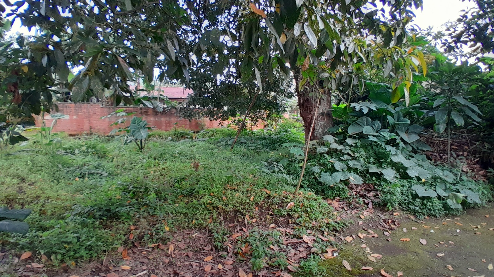 Plot for Sale in Musanze House in Rwanda